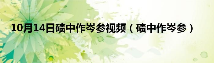 10月14日碛中作岑参视频（碛中作岑参）