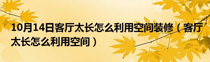 10月14日客厅太长怎么利用空间装修（客厅太长怎么利用空间）