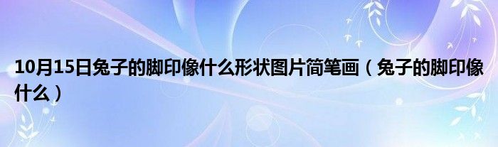 10月15日兔子的脚印像什么形状图片简笔画（兔子的脚印像什么）