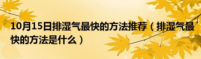 10月15日排湿气最快的方法推荐（排湿气最快的方法是什么）