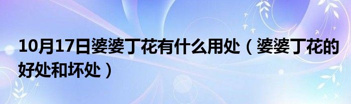 10月17日婆婆丁花有什么用处（婆婆丁花的好处和坏处）