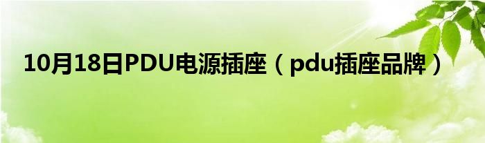 10月18日PDU电源插座（pdu插座品牌）