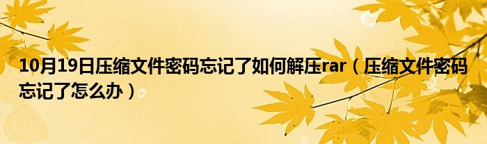 10月19日压缩文件密码忘记了如何解压rar（压缩文件密码忘记了怎么办）