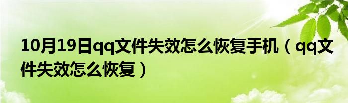 10月19日qq文件失效怎么恢复手机（qq文件失效怎么恢复）