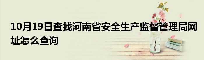 10月19日查找河南省安全生产监督管理局网址怎么查询