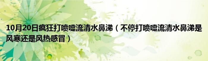 10月20日疯狂打喷嚏流清水鼻涕（不停打喷嚏流清水鼻涕是风寒还是风热感冒）