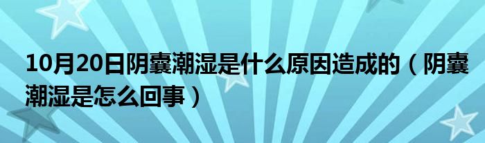 10月20日阴囊潮湿是什么原因造成的（阴囊潮湿是怎么回事）