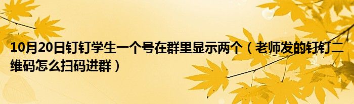 10月20日钉钉学生一个号在群里显示两个（老师发的钉钉二维码怎么扫码进群）