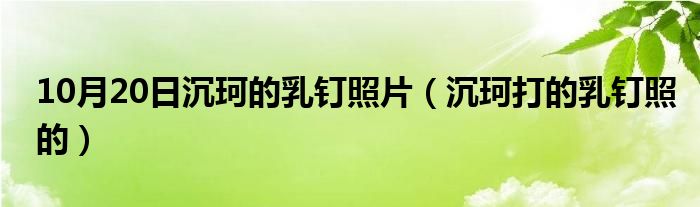 10月20日沉珂的乳钉照片（沉珂打的乳钉照的）