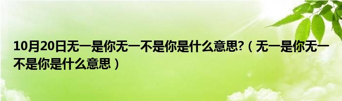 10月20日无一是你无一不是你是什么意思?（无一是你无一不是你是什么意思）