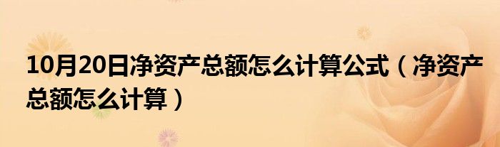 10月20日净资产总额怎么计算公式（净资产总额怎么计算）