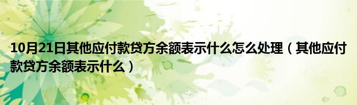 10月21日其他应付款贷方余额表示什么怎么处理（其他应付款贷方余额表示什么）