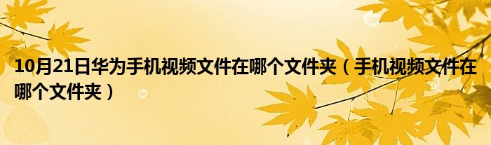 10月21日华为手机视频文件在哪个文件夹（手机视频文件在哪个文件夹）