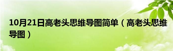 10月21日高老头思维导图简单（高老头思维导图）