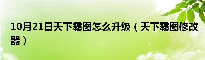 10月21日天下霸图怎么升级（天下霸图修改器）