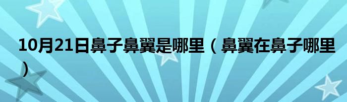 10月21日鼻子鼻翼是哪里（鼻翼在鼻子哪里）