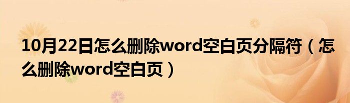 10月22日怎么删除word空白页分隔符（怎么删除word空白页）