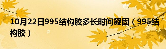 10月22日995结构胶多长时间凝固（995结构胶）