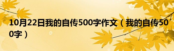 10月22日我的自传500字作文（我的自传500字）