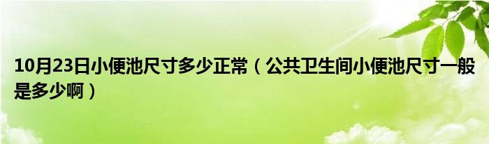 10月23日小便池尺寸多少正常（公共卫生间小便池尺寸一般是多少啊）