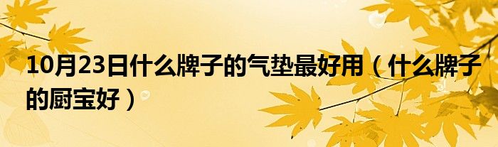 10月23日什么牌子的气垫最好用（什么牌子的厨宝好）