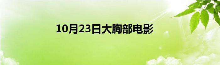 10月23日大胸部电影