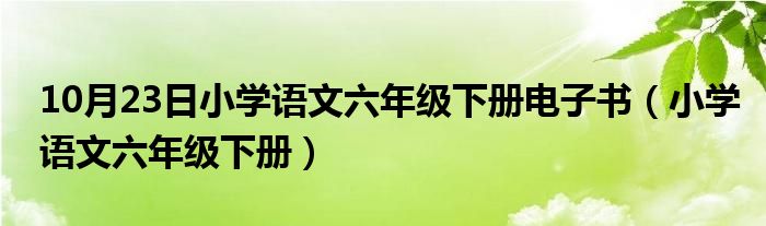 10月23日小学语文六年级下册电子书（小学语文六年级下册）