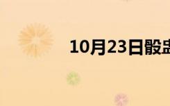 10月23日骰盅魔咒（骰盅）