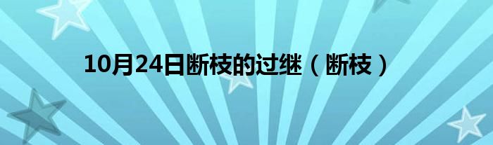 10月24日断枝的过继（断枝）