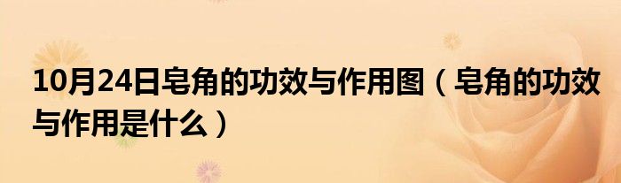 10月24日皂角的功效与作用图（皂角的功效与作用是什么）