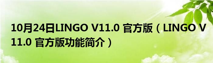 10月24日LINGO V11.0 官方版（LINGO V11.0 官方版功能简介）