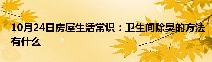 10月24日房屋生活常识：卫生间除臭的方法有什么