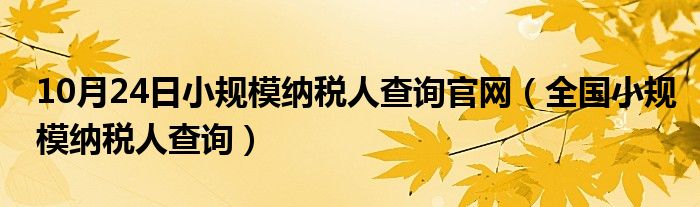 10月24日小规模纳税人查询官网（全国小规模纳税人查询）