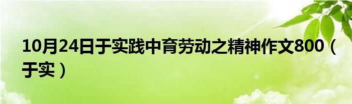 10月24日于实践中育劳动之精神作文800（于实）