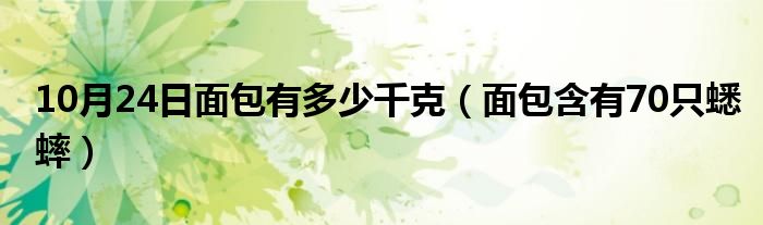 10月24日面包有多少千克（面包含有70只蟋蟀）