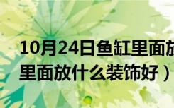 10月24日鱼缸里面放什么装饰好风水（鱼缸里面放什么装饰好）