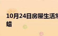 10月24日房屋生活常识：自己木地板怎样打蜡