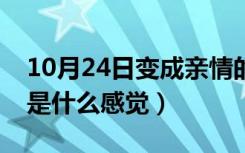 10月24日变成亲情的爱情是什么感觉（爱情是什么感觉）