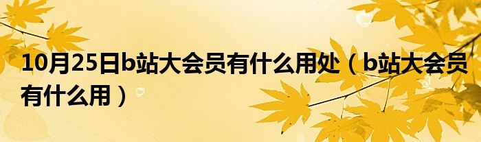 10月25日b站大会员有什么用处（b站大会员有什么用）