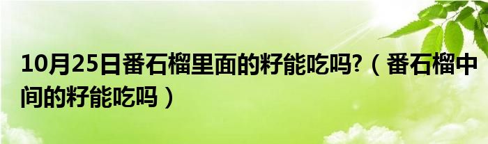 10月25日番石榴里面的籽能吃吗?（番石榴中间的籽能吃吗）