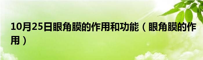 10月25日眼角膜的作用和功能（眼角膜的作用）