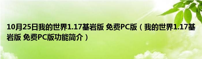 10月25日我的世界1.17基岩版 免费PC版（我的世界1.17基岩版 免费PC版功能简介）