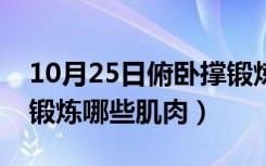 10月25日俯卧撑锻炼哪些肌肉图片（俯卧撑锻炼哪些肌肉）