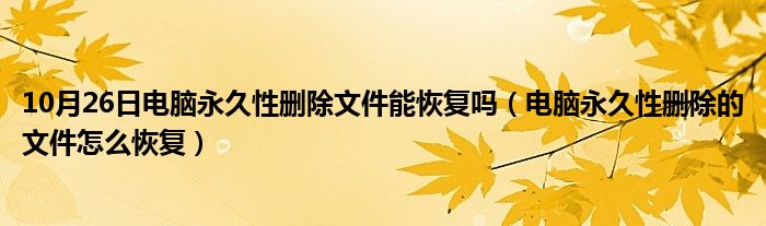 10月26日电脑永久性删除文件能恢复吗（电脑永久性删除的文件怎么恢复）