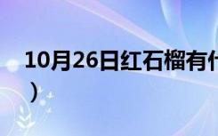 10月26日红石榴有什么功效和作用（红石榴）