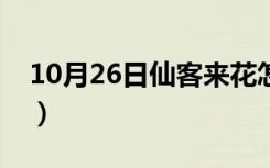 10月26日仙客来花怎么养（仙客来花怎样养）