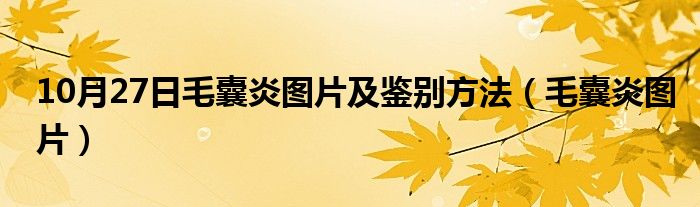 10月27日毛囊炎图片及鉴别方法（毛囊炎图片）