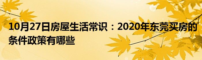 10月27日房屋生活常识：2020年东莞买房的条件政策有哪些