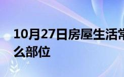 10月27日房屋生活常识：钢板止水带用在什么部位