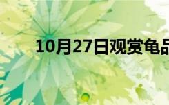 10月27日观赏龟品种大全（观赏龟）